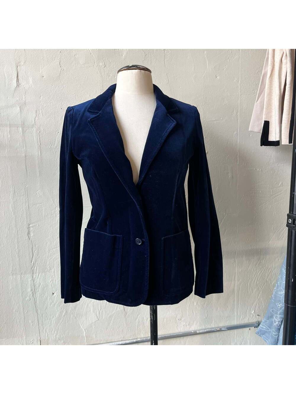 Blue Velvet Blazer (S)